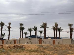 a row of palm trees behind a fence at منتجع شمس in Ilbaras