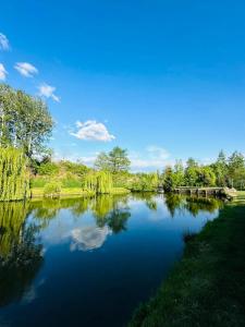 een uitzicht op een rivier met bomen en een blauwe lucht bij Casa Pescarului JIM 