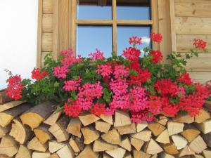 Vrt ispred objekta Hotel Garni Bavaria