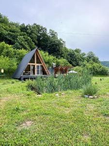uma pequena cabana no meio de um campo em Cabane A-Frame Svinița em Sviniţa