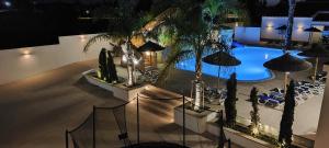 an overhead view of a swimming pool with palm trees at Casa Almeida in Vimieiro