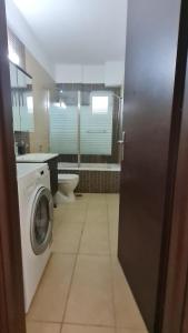 埃雷特里亞的住宿－Eretria Apartments FM14，一间带洗衣机和卫生间的浴室