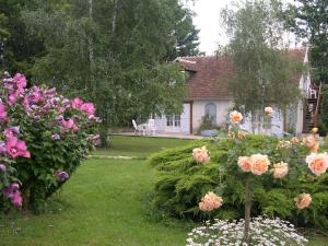 Gallery image of Domaine de la chapelle - Ch d'hote in Faverolles-sur-Cher