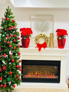 ScotrunThe best Vacation Home的相册照片