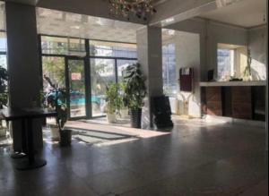 乌兰巴托土地酒店 的一间有大窗户和植物的大房间