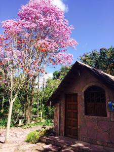 Um jardim em Castelar da Alvorada