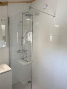 a shower with a glass door in a bathroom at Het Duinenhuisje in Oostduinkerke +24 photos
