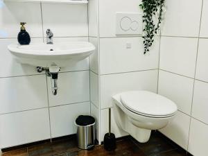 a bathroom with a toilet and a sink at AyCatcherHomes - Top Lage I Zentral I Altstadt Marburg I Nähe Fluss Lahn I WLAN I Apartment Orion im Erdgeschoss in Marburg an der Lahn