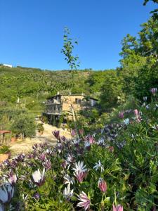 uma casa ao lado de uma colina com flores em Dimora dei Cardinali em Agropoli