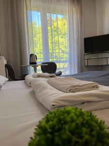 クリニツァ・ズドルイにあるAmphora Kompleks Wypoczynkowyのベッド2台と窓が備わるホテルルームです。