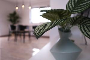 a white vase with a green plant in it at Seaside Serenity "Earth" with pool, 150m from sea in Sukošan