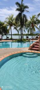 珍南海灘的住宿－The Green Lagoon，一个带椅子和棕榈树的大型游泳池