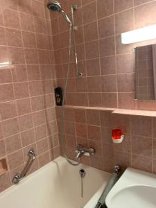 Panoramahaus App 4086 في باد رايشنهال: دش في حمام مع مرحاض ومغسلة