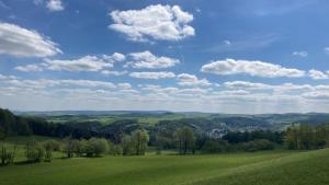 un campo verde con árboles y nubes en el cielo en Erzgebirgshaus en Kurort Altenberg