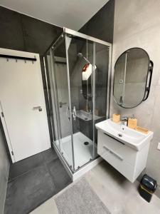 a bathroom with a shower and a sink and a mirror at JÁNOŠÍK Apartmány in Terchová +33 photos