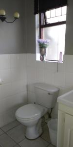 a white bathroom with a toilet and a window at 19 on Robyn in Durbanville