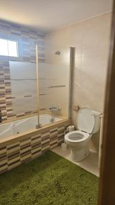 a bathroom with a toilet and a shower and a tub at Beach House Lanzarote in Arrecife