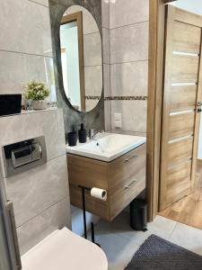 W łazience znajduje się umywalka i lustro. w obiekcie Wilga Leśne SPA w Solcu-Zdroju
