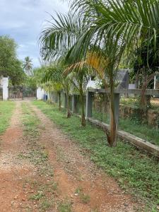 polna droga z palmami obok płotu w obiekcie Villa Rukaththana UNAKURUWA w Tangalli