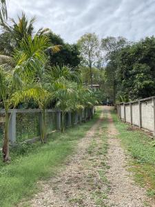 a dirt road with palm trees next to a fence at Villa Rukaththana UNAKURUWA in Tangalle