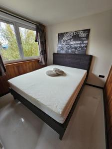 a large bed in a room with a window at Ben's Cabine in Bodegraven
