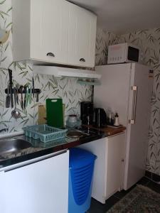 a small kitchen with a sink and a refrigerator at Chez Vladimir in Criquebeuf-en-Caux