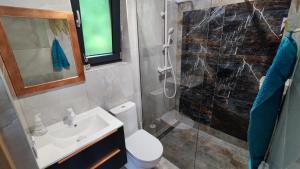 uma casa de banho com um WC, um lavatório e um chuveiro em Blu Raj - domy w Sudetach em Głuszyca