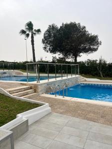 a swimming pool with stairs and a palm tree at Sea Viev La Mata in Torrevieja