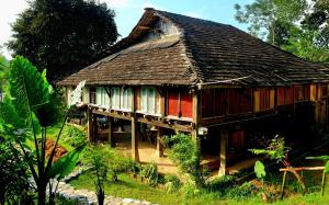 uma casa com telhado de palha numa floresta em Palm Hill Chalet em Ha Giang