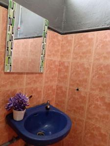 a bathroom with a blue sink with a potted plant at Greenleaf Guesthouse in Jerantut
