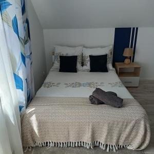 1 dormitorio con 1 cama con manta y almohadas en Noclegi U Janusza 536-310-384 en Polańczyk
