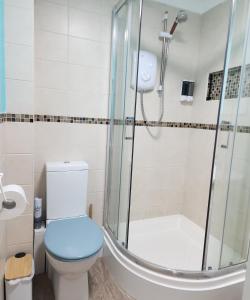 a bathroom with a shower and a toilet at Top Location Perranporth Apartment in Perranporth +9 photos