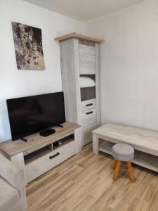 TV a/nebo společenská místnost v ubytování Apartmani Elena