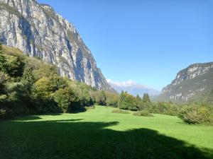 a large green field with mountains in the background at Agritur Ca' de Mel in Fiavè