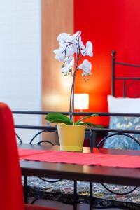 a flower in a yellow pot on a table at Badepest Apartment Budapest in Budapest