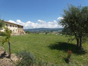 ein grünes Feld mit einem Gebäude und einem Baum in der Unterkunft SCAPPO IN UMBRIA, Casale in Castello delle Forme