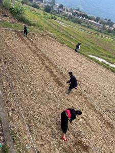 een groep mensen in een veld die vliegeren bij Palm Hill Chalet in Ha Giang