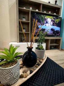 Nina Apartment في مدينة خانيا: وجود مزهرية سوداء على طاولة بها نباتات
