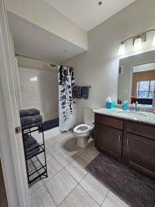 La salle de bains est pourvue de toilettes, d'un lavabo et d'un miroir. dans l'établissement Brand New HUGE Apartment Next To Mayo, Park Free, à Rochester