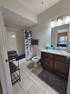 uma casa de banho com um WC, um lavatório e um espelho. em Brand New HUGE Apartment Next To Mayo, Park Free em Rochester