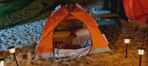 Hosté ubytování Royal Desert Tourism LLC