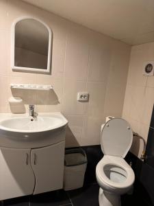 W łazience znajduje się umywalka, toaleta i lustro. w obiekcie Готелік w mieście Drohobycz