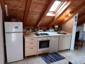 Kuchyň nebo kuchyňský kout v ubytování Guest House Lucijo
