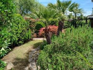 a garden with palm trees and plants at Oasi Boungaville in Porto San Paolo
