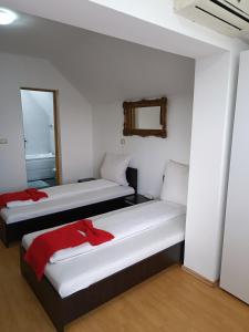 two beds in a room with white walls and a mirror at Family Pension in Arad
