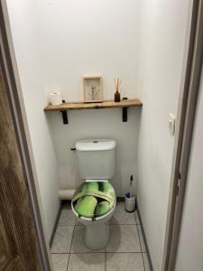 a bathroom with a toilet with a green seat at Location Patrimonio in Patrimonio +5 photos