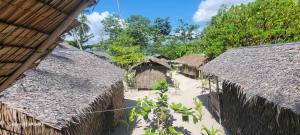 um grupo de casas com telhados de palha e árvores em Bice Camp Darocotan em El Nido