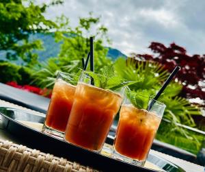 Joogid majutusasutuses Hotel Garni Partaneshof