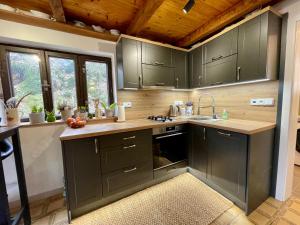 a kitchen with gray cabinets and a counter top at Bohemian Paradise Chalet in Mladějov