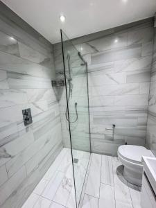 a bathroom with a toilet and a glass shower at Mayfair Residences in London